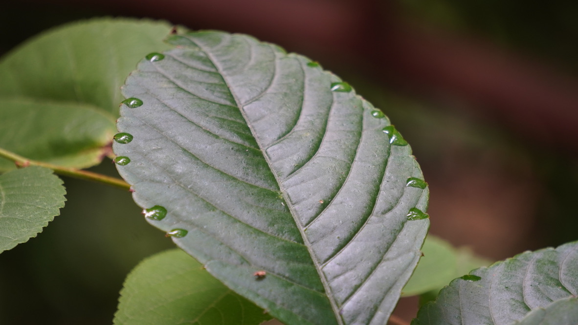 Sustainability